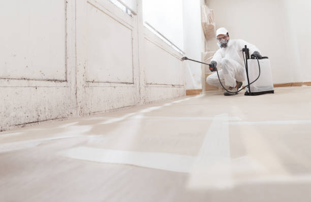 24/7 Emergency Bathroom Mold Removal experts in Oak Hall, VA