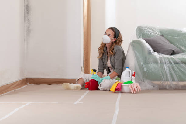 Reliable Bathroom Mold Removal contractor in Oak Hall, VA by 24 Hour Mold Removal